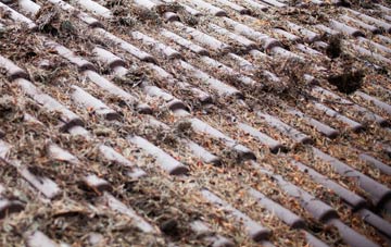 Lethem roof cleaning companies